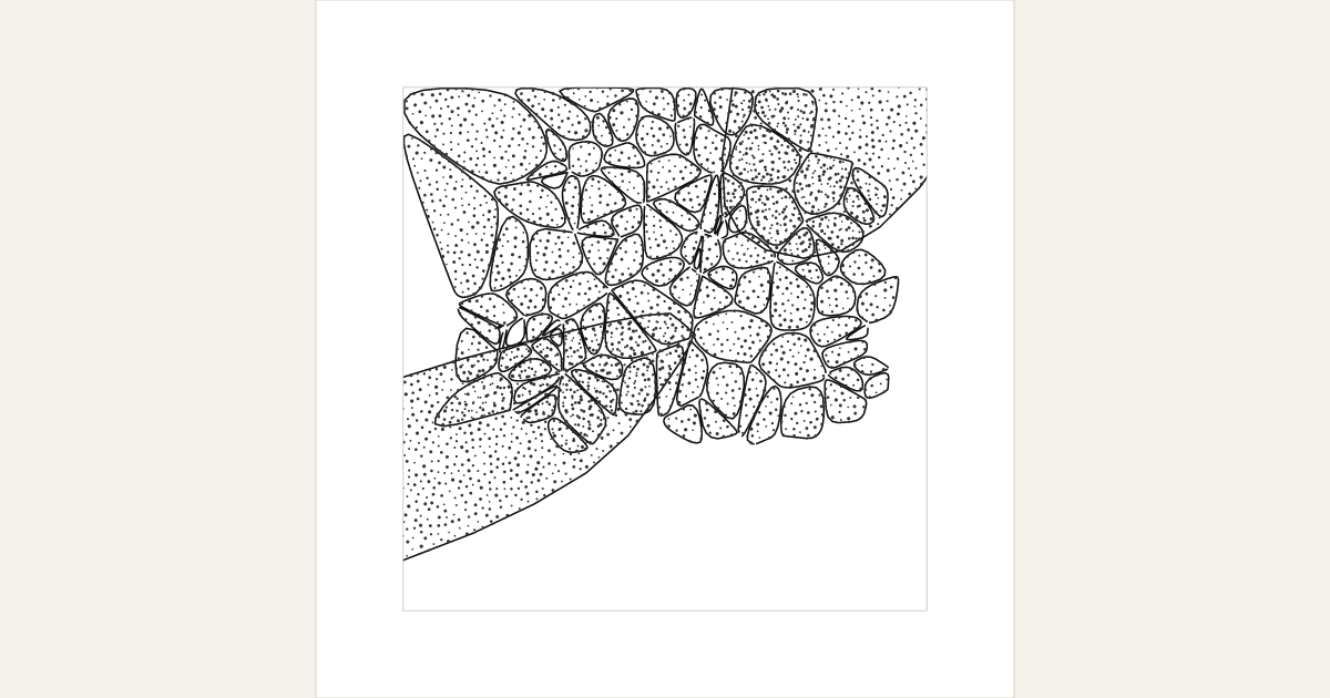 generative artwork grown from genome GNM-1783486100-8967 on gaogao
