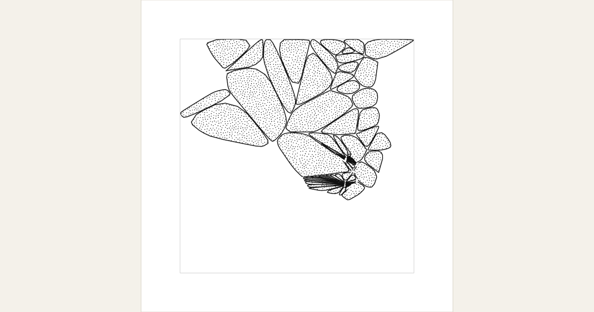 generative artwork grown from genome GNM-1784118941-8584 on gaogao